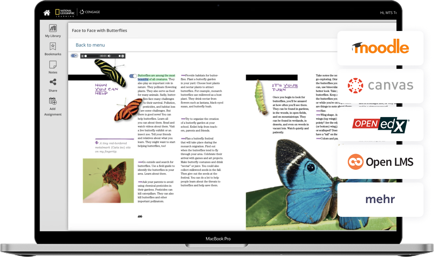 Interaktive digitale Buchseite über Schmetterlinge mit Bildern und Lerninhalten.